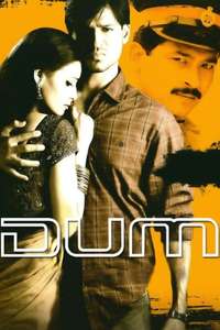 Dum - Posters