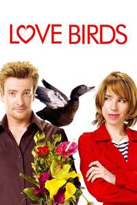 Love Birds - Posters