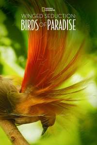 Winged Seduction: Birds of Paradise - Poster