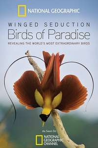 Winged Seduction: Birds of Paradise - Poster