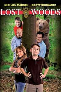 Lost in the woods - Poster