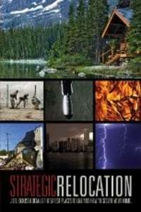 Strategic Relocation - Poster