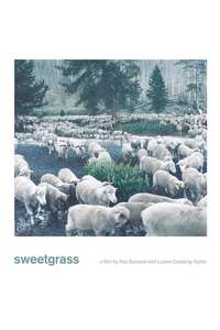 Sweetgrass - Poster
