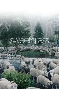 Sweetgrass - Poster