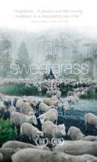 Sweetgrass