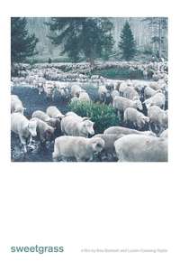 Sweetgrass - Poster