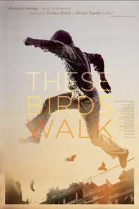 These Birds Walk - Poster