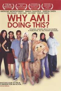 Why Am I Doing This? - Poster