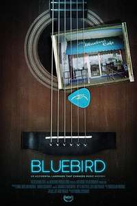 Bluebird - Poster