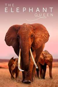 The Elephant Queen - Poster
