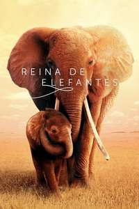 The Elephant Queen - Poster