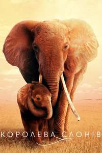 The Elephant Queen - Poster