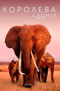 The Elephant Queen - Poster
