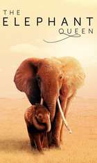 The Elephant Queen