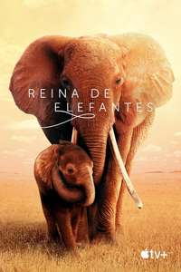 The Elephant Queen - Poster