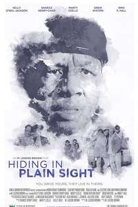 Hiding in Plain Sight - Poster