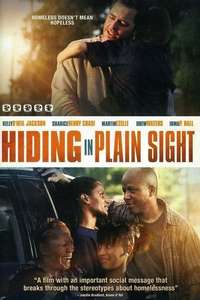 Hiding in Plain Sight - Poster