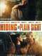 Hiding in Plain Sight