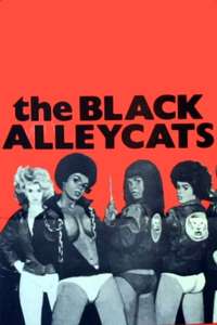 The Black Alley Cats - Posters