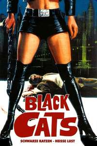 The Black Alley Cats - Posters