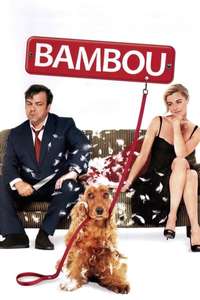 Bambou - Poster