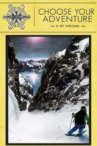 Choose Your Adventure - Poster
