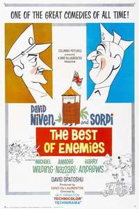 The Best of Enemies - Posters