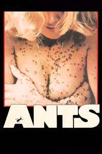 Ants - Poster