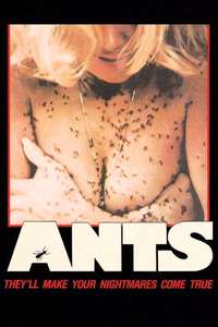 Ants - Poster