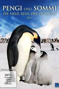 Pengi and Sommi - Poster