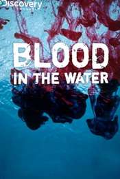 Blood in the Water