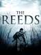 The Reeds