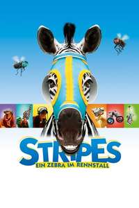 Racing Stripes - Poster
