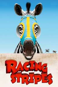 Racing Stripes - Poster