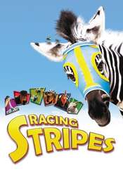 Racing Stripes