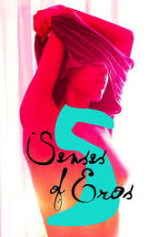Five Senses of Eros