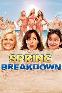 Spring Breakdown - Poster