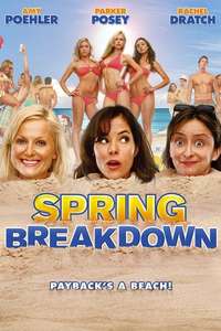 Spring Breakdown - Poster