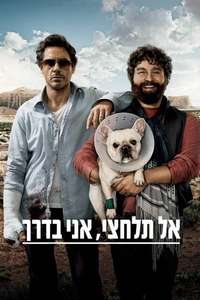 Due Date - Poster