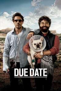 Due Date - Poster