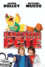 Hatching Pete