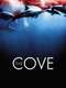 The Cove