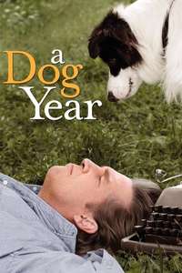 A Dog Year - Posters