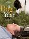 A Dog Year