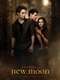 The Twilight Saga: New Moon