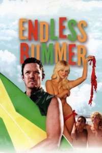 National Lampoon Presents: Endless Bummer - Poster