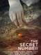 The Secret Number