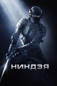 Ninja - Posters