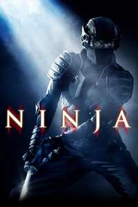 Ninja - Posters