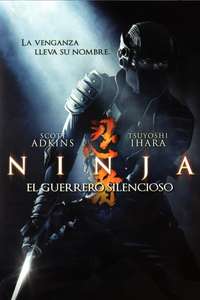 Ninja - Posters